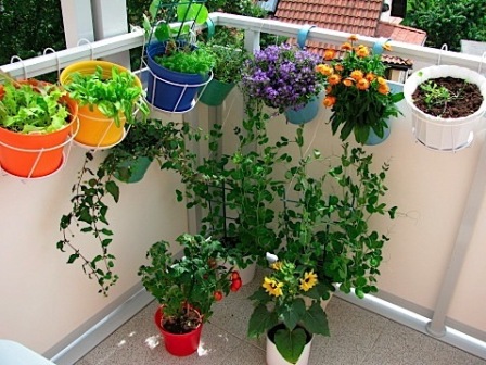 balcony-garden-flowers-decorative-condo.ca_.jpg