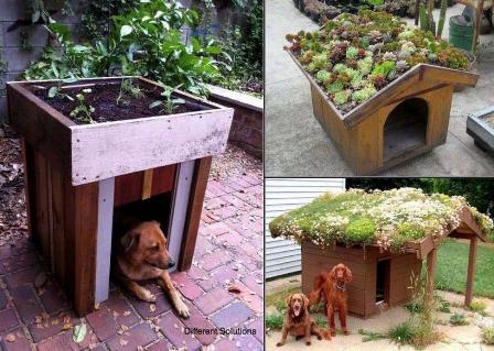 planting-happiness-urban-gardening-2013-rooftop-garderning-dog-houses.jpg
