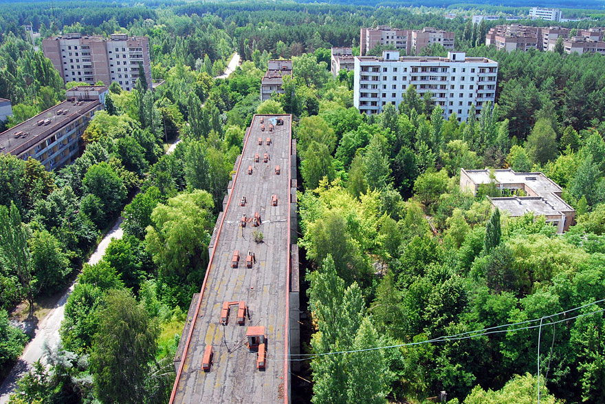 Pripjaty szellemvárosa. A csernobili atomkatasztrófakor kiürített várost visszahódította a természet.
