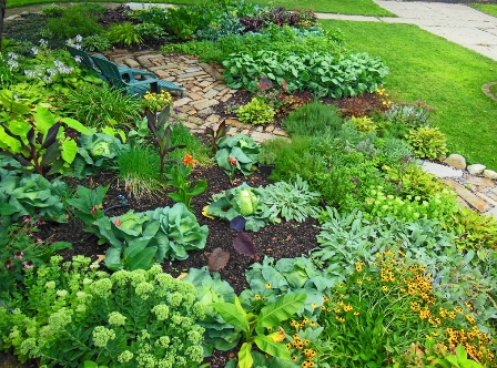 Front-Lawn-Vegetable-Garden-2012-August.jpg