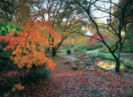 exbury_gardens_autumn_600x.jpg