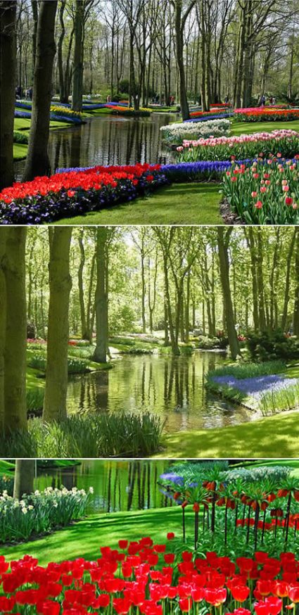 keukenhof gardens hollandia.jpg