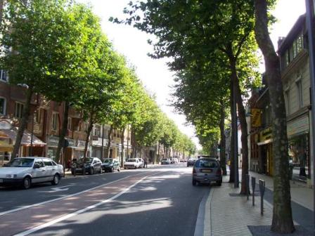 Tree-lined-street.jpg