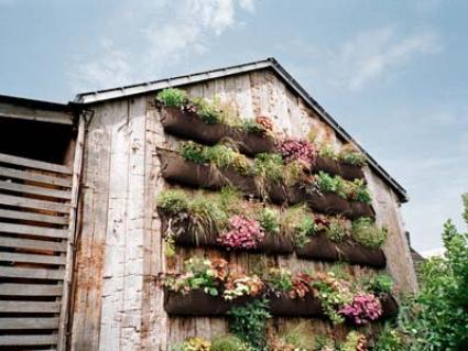 garden-on-building-wall-how-to-plant-vertical-garden-0412-mdn.jpg