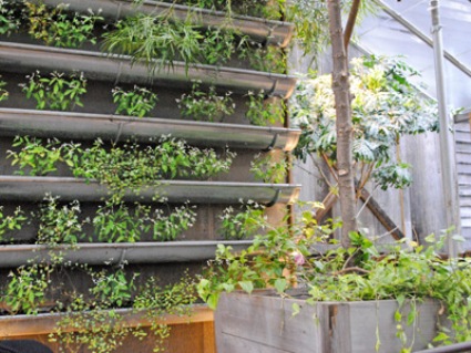 rain-gutter-garden-how-to-plant-vertical-garden-0412-mdn.jpg