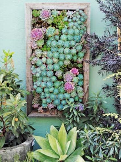 succulent-plant-garden-how-to-plant-vertical-garden-0412-mdn.jpg