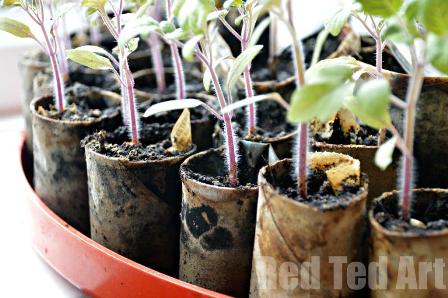 DIY-Seedling-pots.jpg