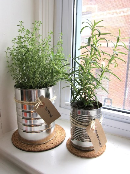 Kitchen-herbs-in-tin-cans..jpg