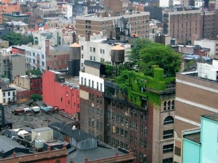 rooftop-garden-new-york.jpg