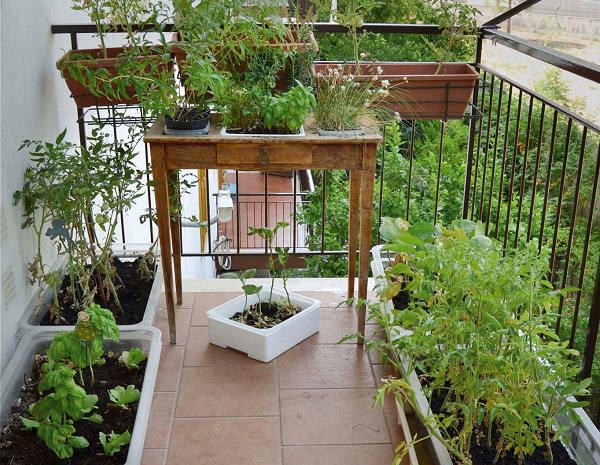 balcony-vertical-garden-9_mini.jpg