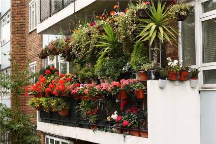 balcony-garden-23.jpg