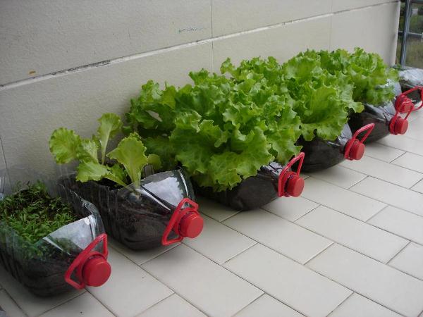 diy-mini-garden-in-balcony.jpg