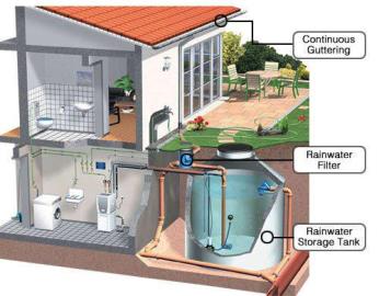 rainwater-harvesting-system.jpg