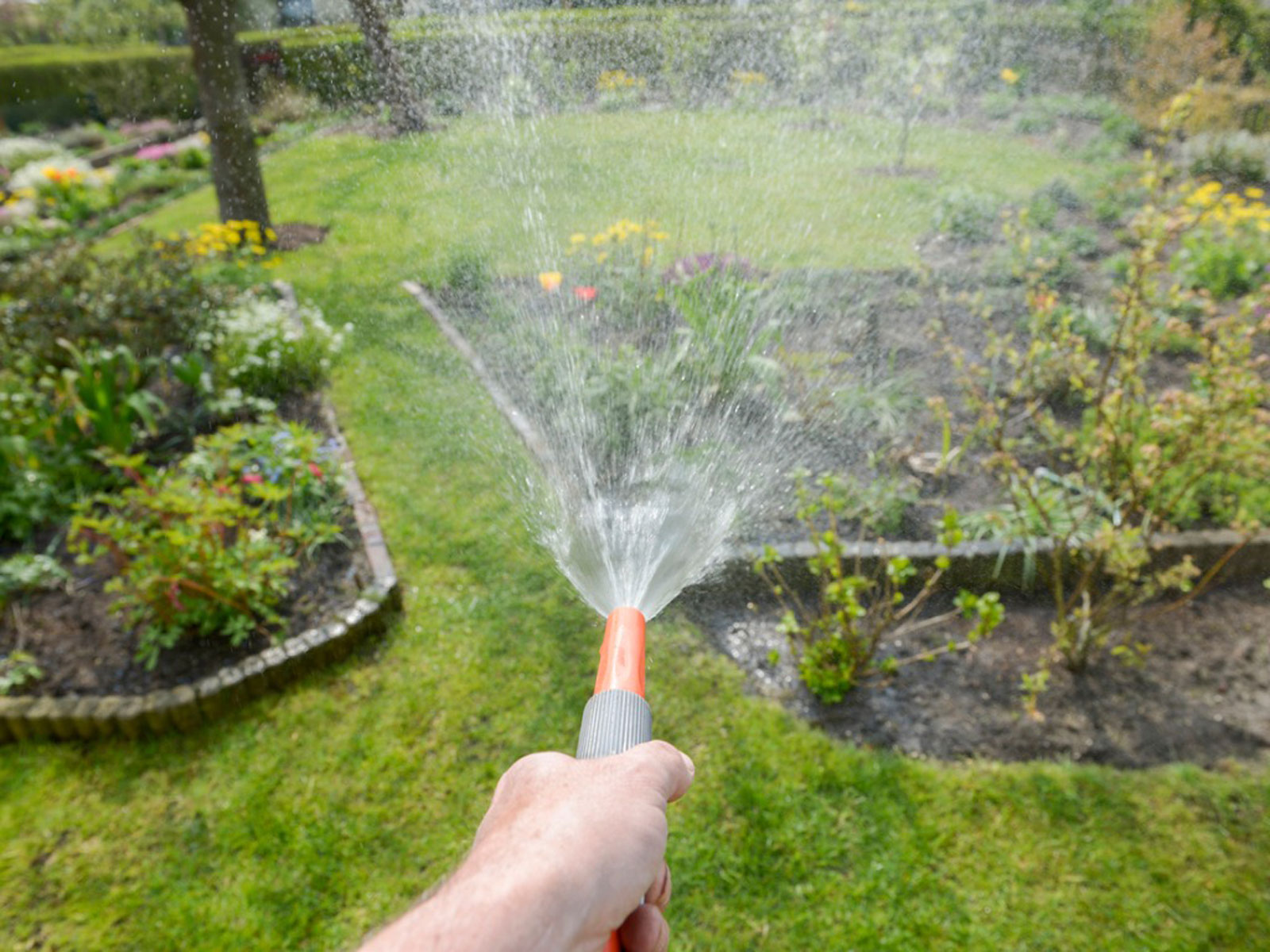 watering-garden.jpg