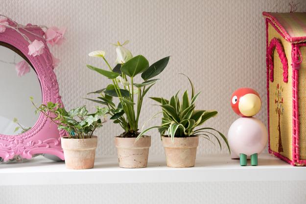 houseplants-planters-design-for-kids-10.jpg