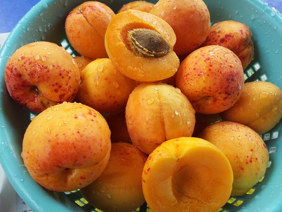 apricots-168502_960_720.jpg
