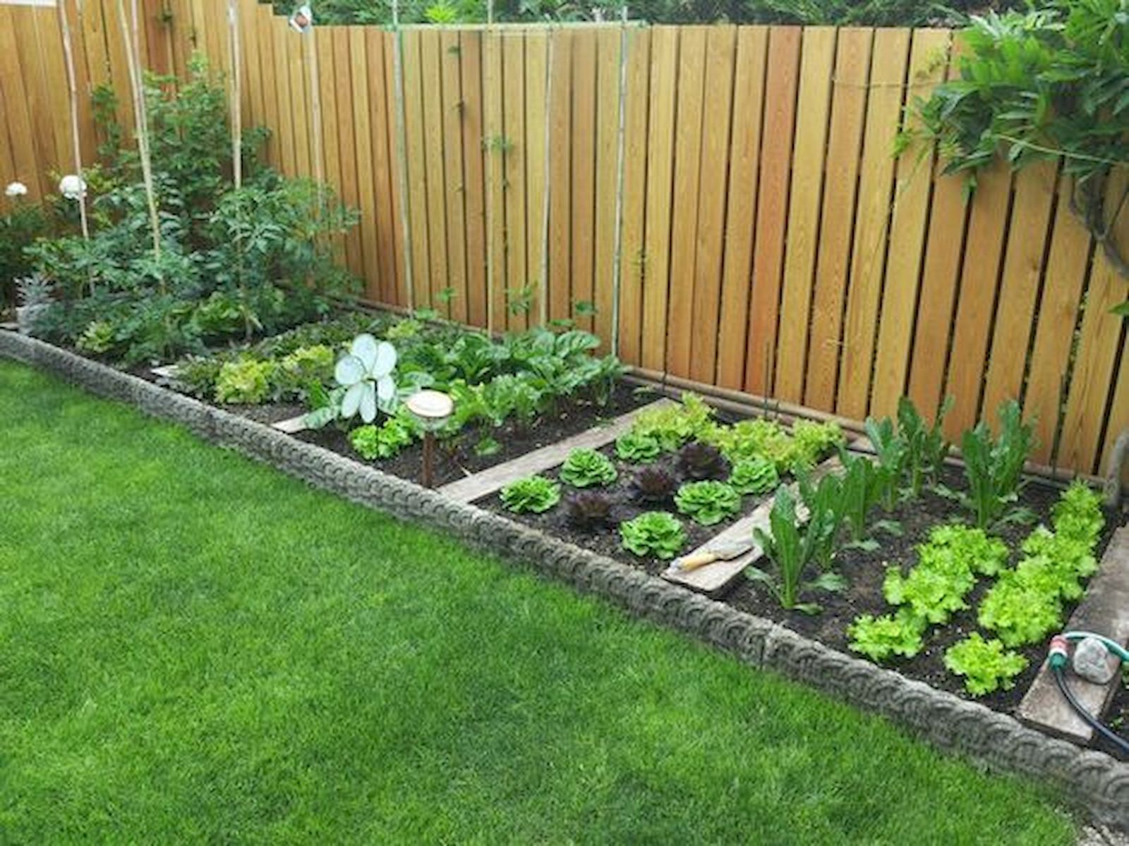 Kerttervezési tippek kezdőknek - Megyeri Szabolcs kertész blogja