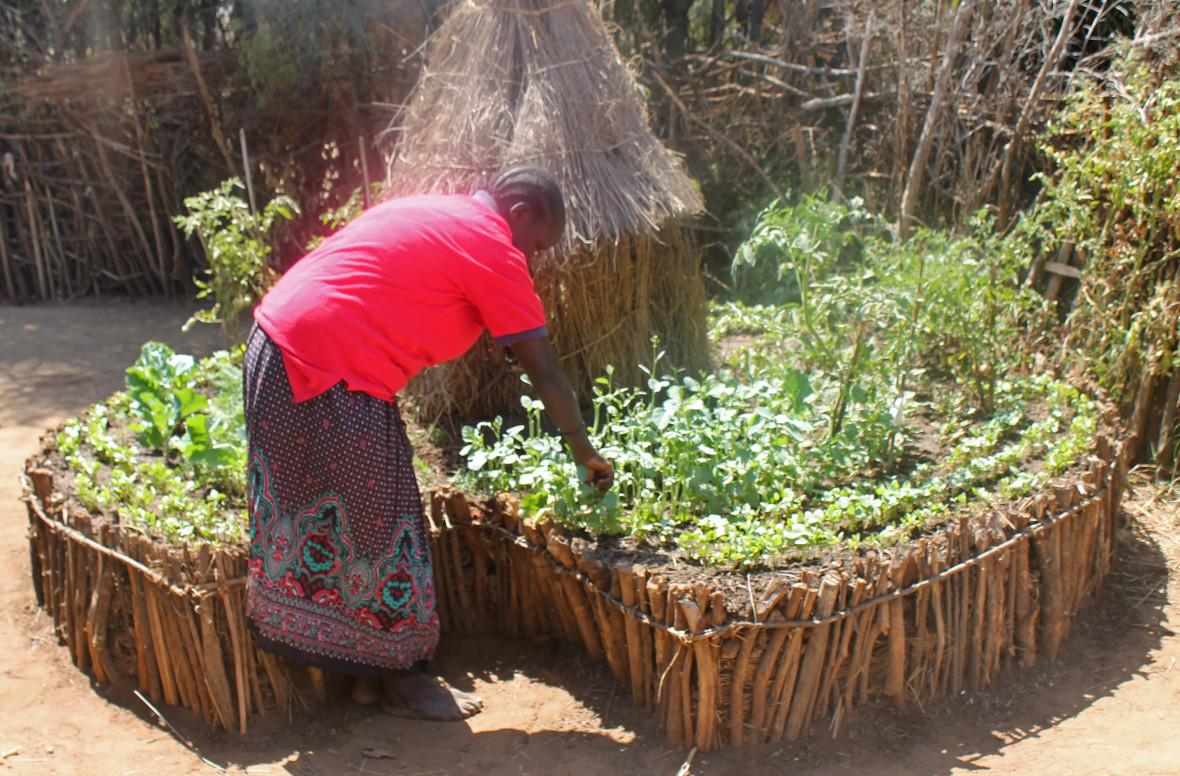 concern-uganda-keyhole-gardens-2-1180x776.jpg