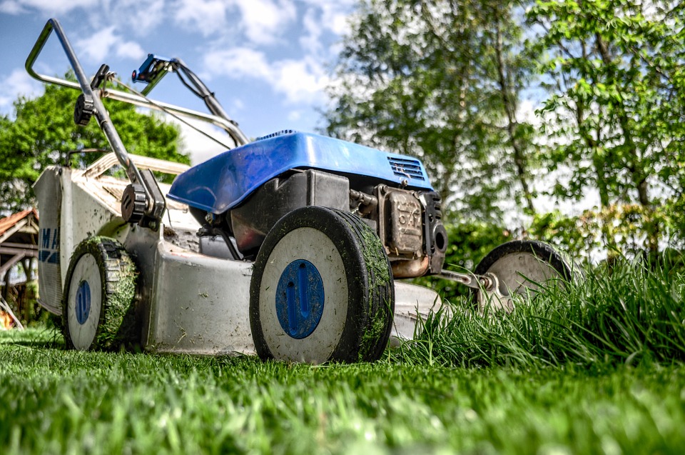 lawnmower-384589_960_720.jpg