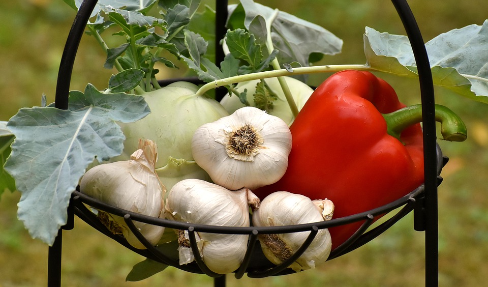 vegetables-3483066_960_720.jpg