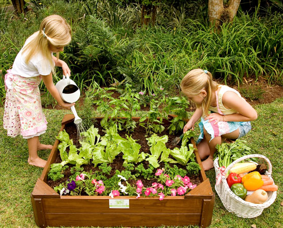 just-for-kids_veggie-garden-box_gardening.png
