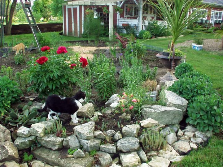 56279ba32c3e58c7177ee5df8ea6f248--rock-garden-design-garden-design-ideas.jpg