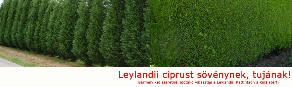 banner-leylandii.png