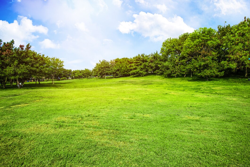 field-with-grass-clouds_1112-621.jpg