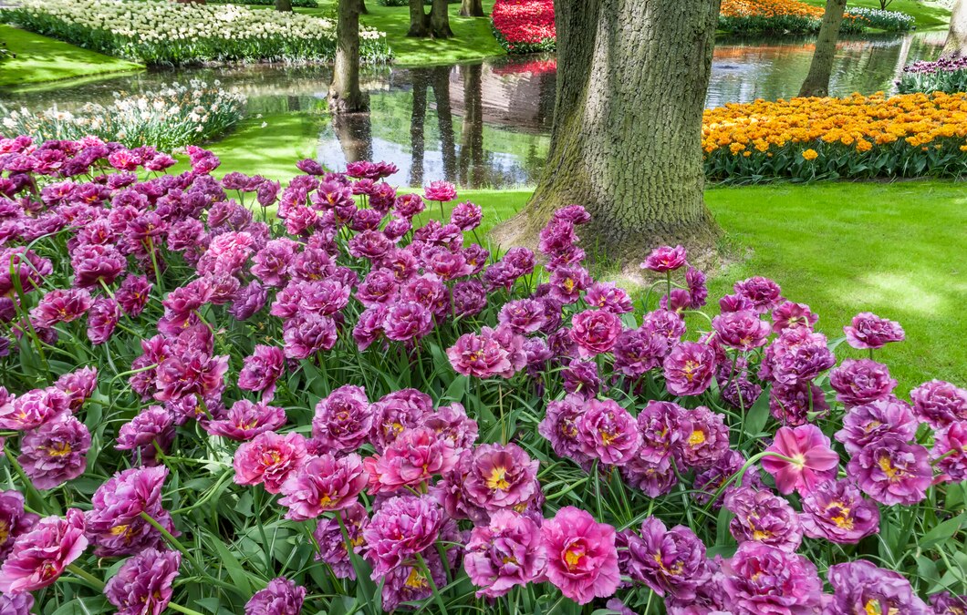 tulip-field-keukenhof-gardens-lisse-netherlands_155003-14712.jpg