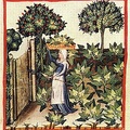 Nők a kertben