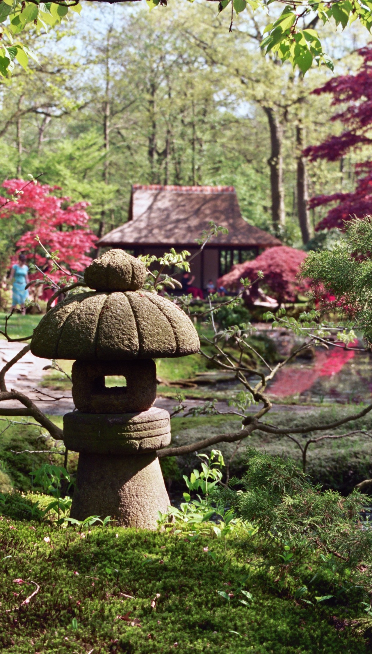 japanese-garden-1401155-1279x2242.jpg