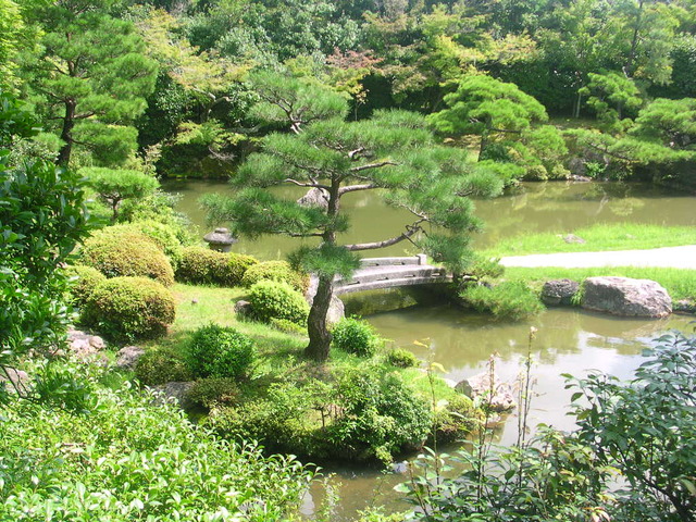 japanese-garden-2-1567180-640x480.jpg