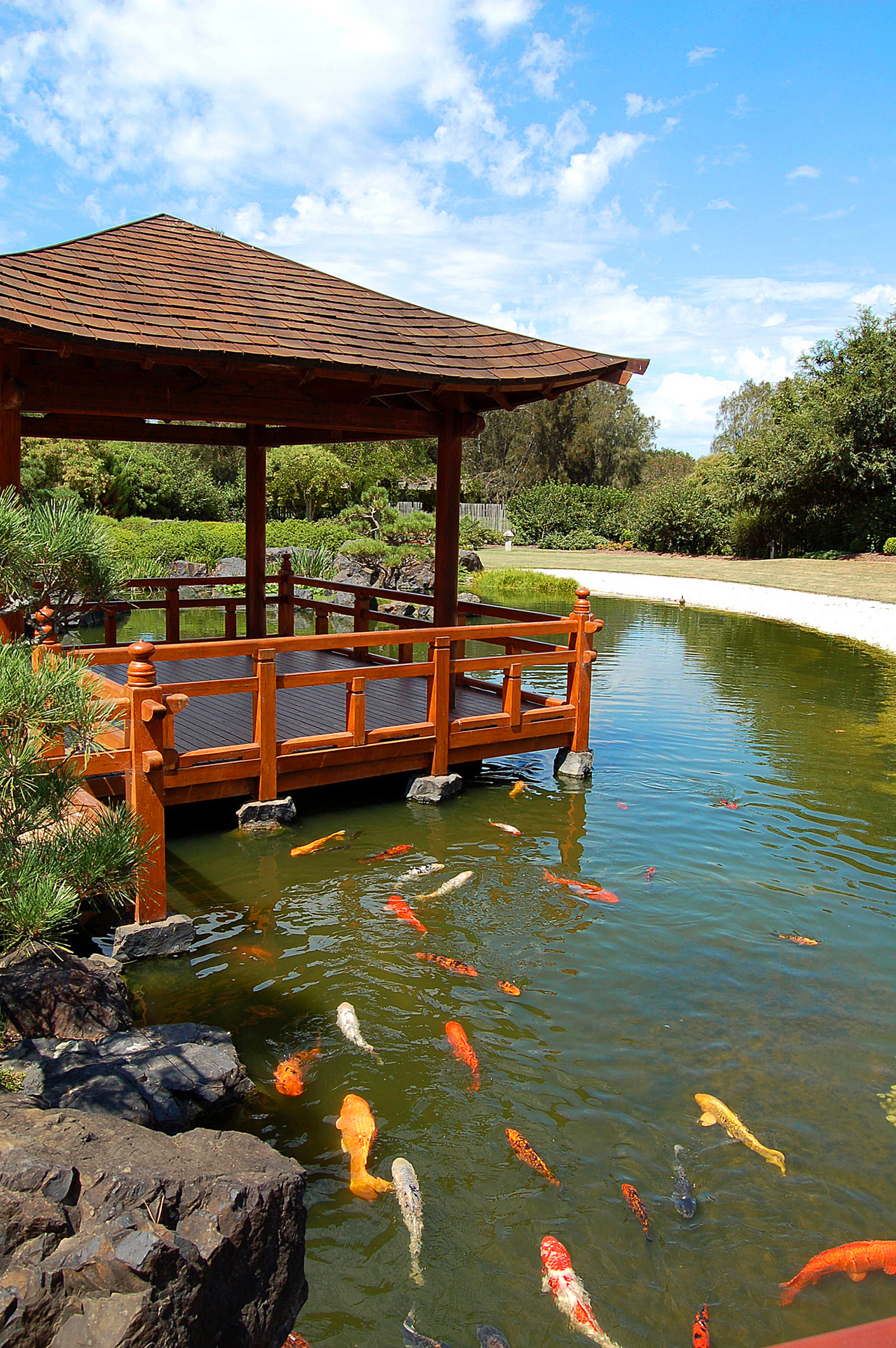 japanese-garden-koi-1385269-1279x1923.jpg