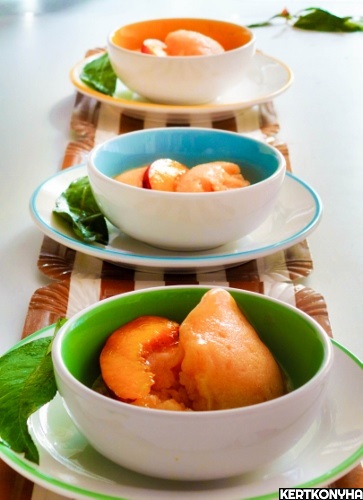 20140729_oszibarack_sorbet_jo_363x500.jpg