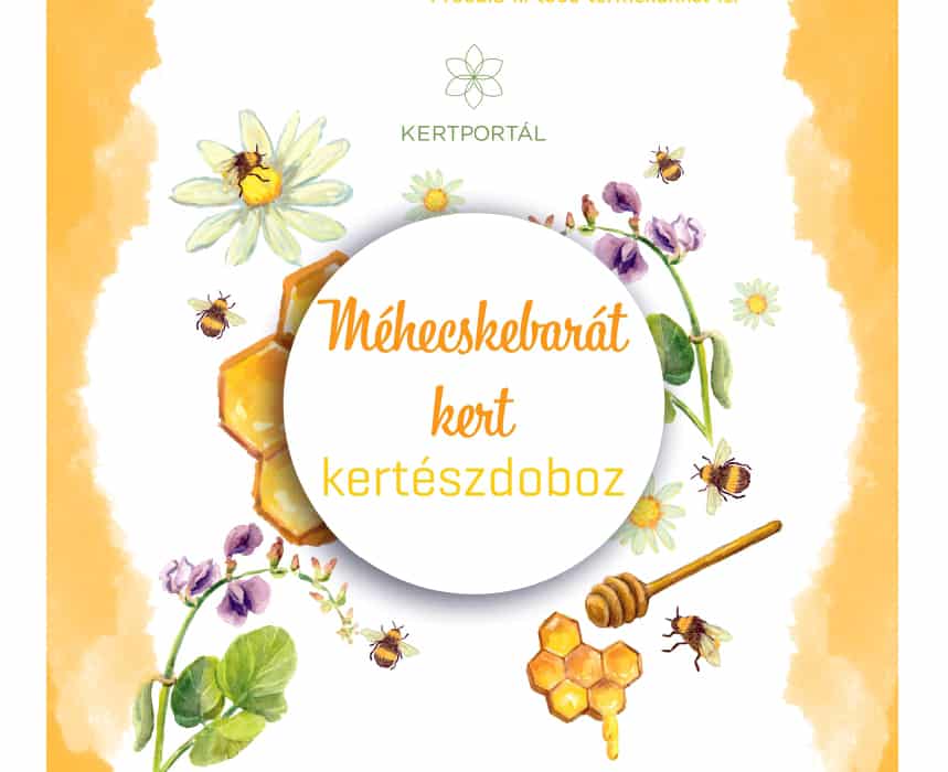 mehecskebarat-kerteszdoboz-borito.jpg