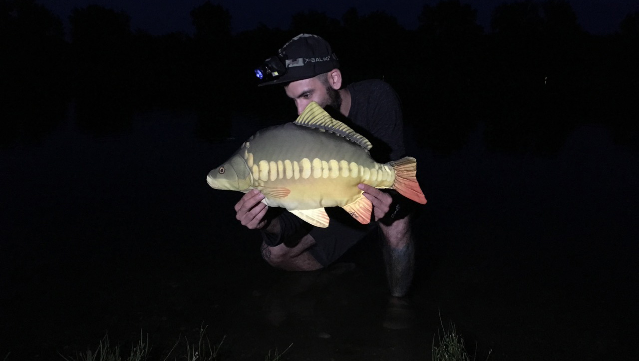 fish_el_vele.jpg