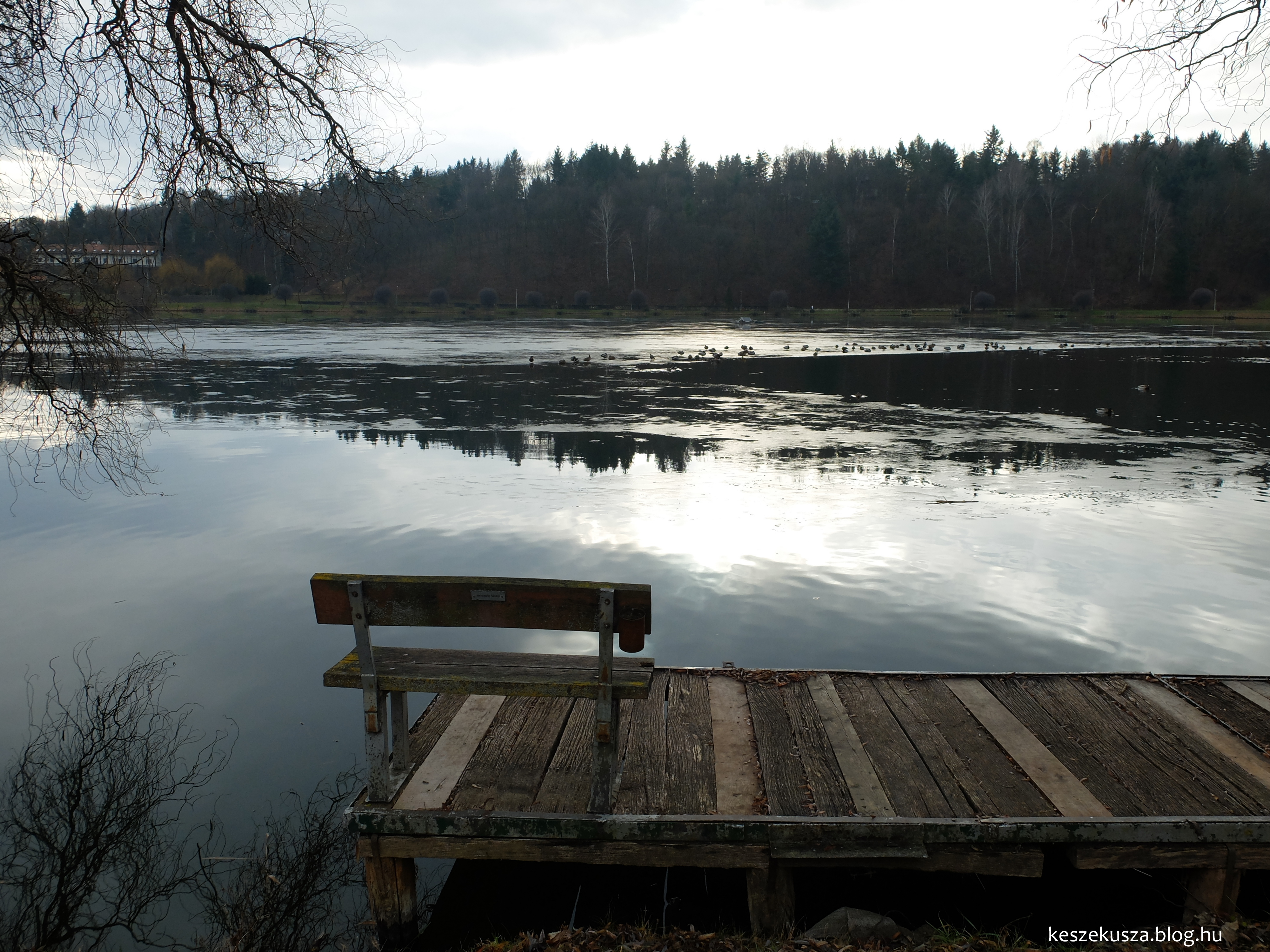 Ölünkbe pottyant utazás: A Bánki-tó télen
