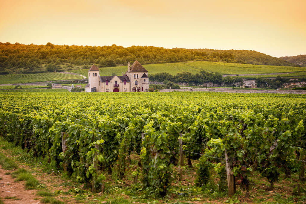 burgundy-wine-region.jpg