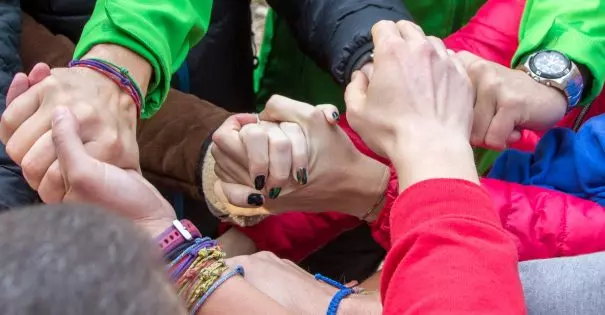 lm_vi_i_hcs_img_5649-large-605x315.webp