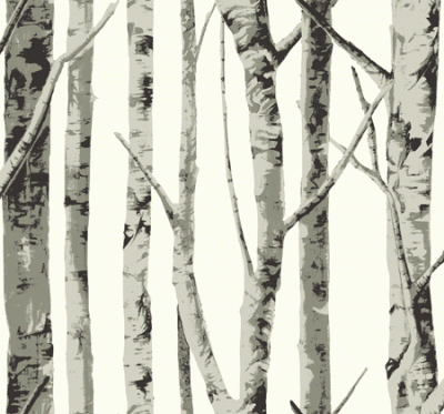 birch tree grey wallpaper (blinds-wallpaper.net).gif