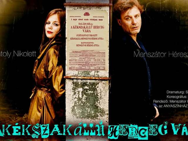 A kékszakállú herceg vára