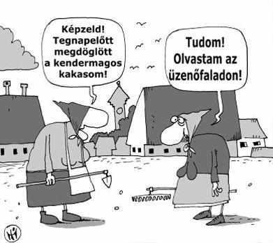 kendermagos.jpg