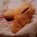 Limara-féle pirított hagymás rudak