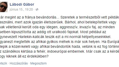 Vajon a chemtrail-hívő, antiszemita, homofób képviselő már lenyesendő vadhajtás Vona Gábornak?