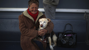 Nem „hajléktalanok” kínoznak kutyákat, hanem állatkínzók