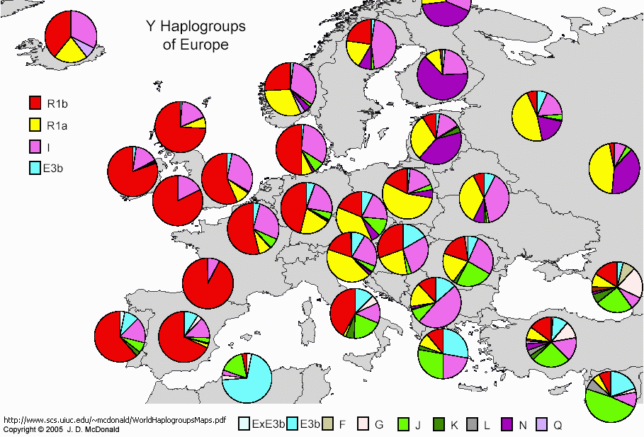 Y-MAP.GIF