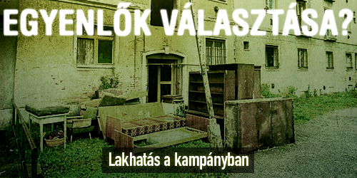 dóri.jpg
