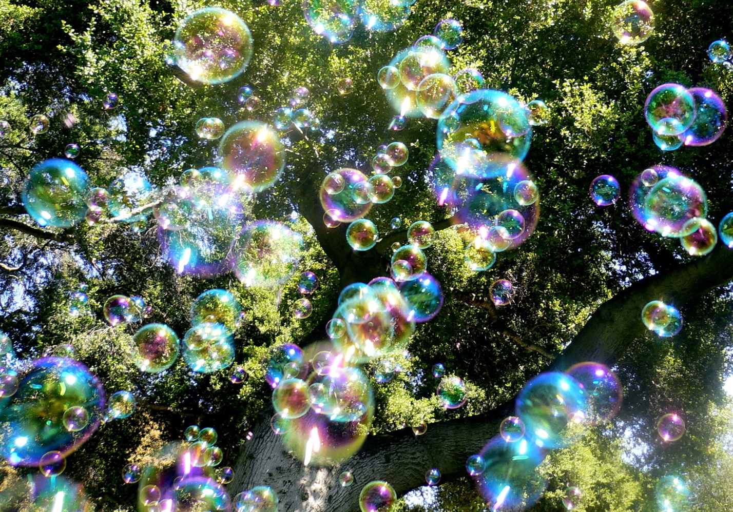 Soap_bubbles-jurvetson.jpg