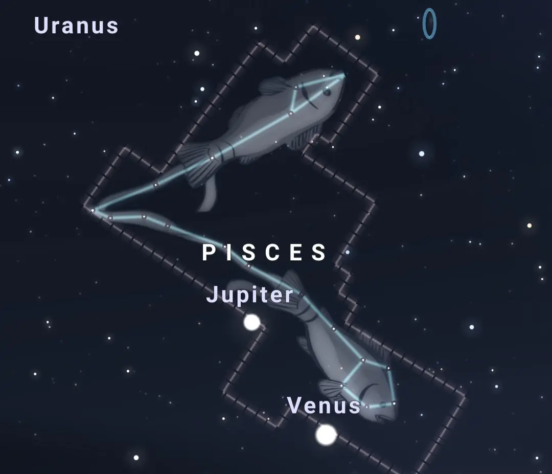 pisces-constellation.webp