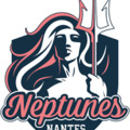 Végleg megszűnt a Nantes profi kézilabda csapata